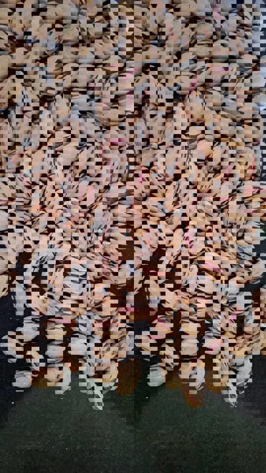 پسته اکبری اونس 24