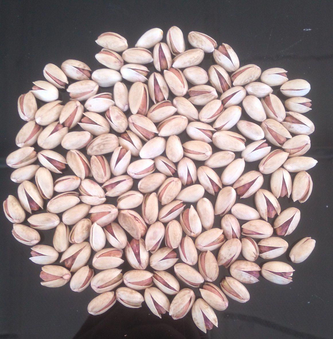 پسته بادامی اونس 34