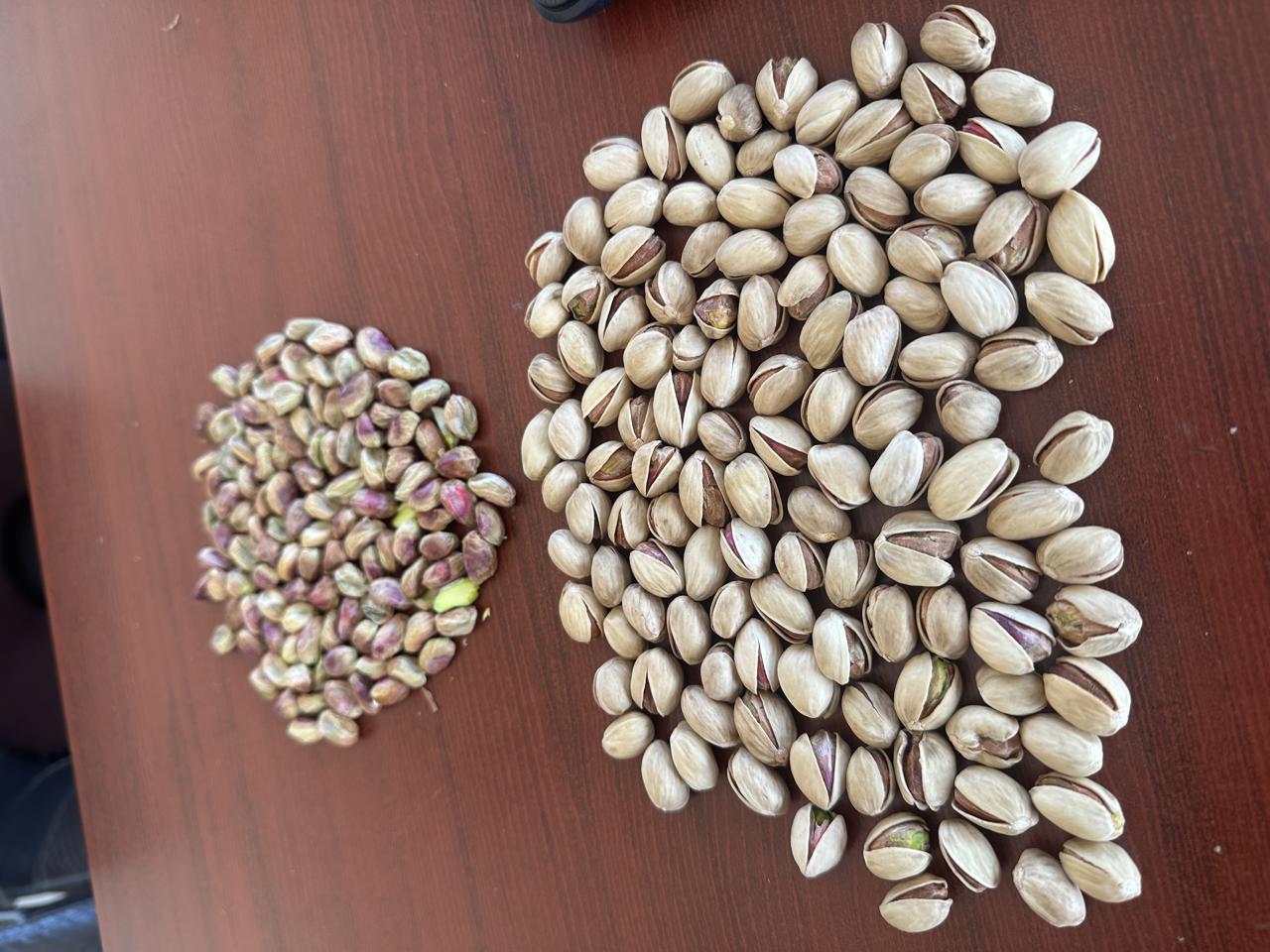 پسته فندقی اونس 34